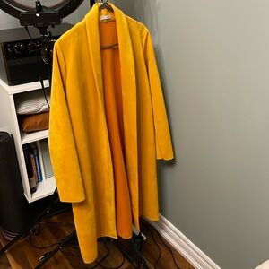 Zara Fall Coat